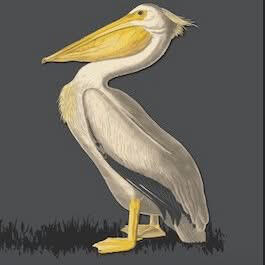 The Pelican, Pamber Heath